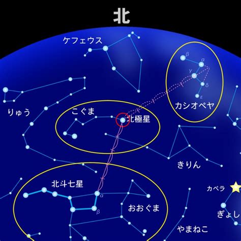 北極星位置|星座図鑑・北極星の探し方